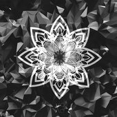 m1000x1000 - 2024-09-09T010225.030.jpeg