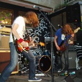fungusonlive3