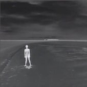 Void Wanderers