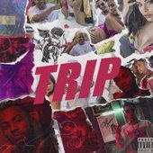Capa_ModestiaTrip-300x250.jpg