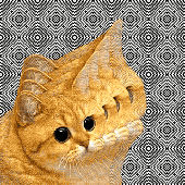 Avatar for ecosse_fm
