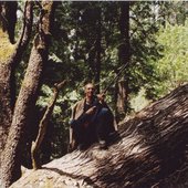 a outlaw in the parvati valley 2002