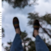cover (1).png