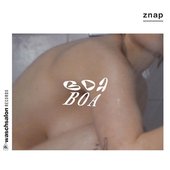 Boa Boa