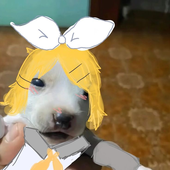 Rinswer 的头像