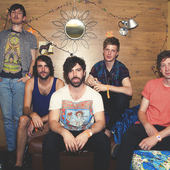 foals