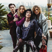 The Struts