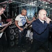 royal hounds nyc