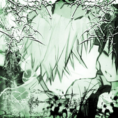 skywar_exe 的头像