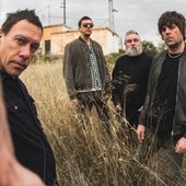 Shed Seven