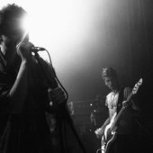 BIRDY HUNT LIVE ((c) Oliver Laselle)