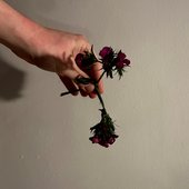 IMG_3117 2.jpg