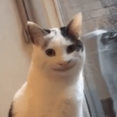 hanolad 的头像