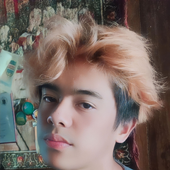eekkarus 的头像