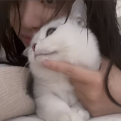 fiebbles さんのアバター