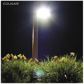 LastFM profile picture for @layered