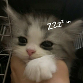 miynkzz 的头像