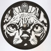 The 9 Lives