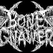 Bone Gnawer