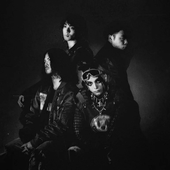 CVLTE music, videos, stats, and photos | Last.fm