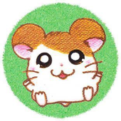 Avatar for immarcc