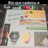 Caderno do lil pinguela