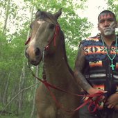 horse