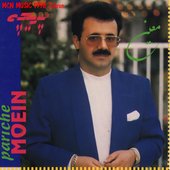 Moein (Pariche album)