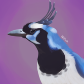 Avatar for hello42069666