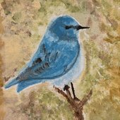 Songbird