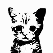 Avatar for dachifuru