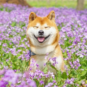 Avatar for TesselTurner