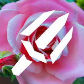 Avatar for lordoftrident