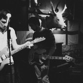 01.02.14 (Uzhgorod, Kaktus)