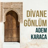 Divane Gönlüm