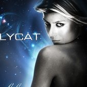 Polycat