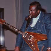 Albert King.jpg