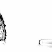 0005367626_100 (1).png