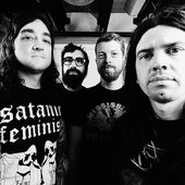 Usnea 2017