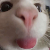 Tegima 的头像