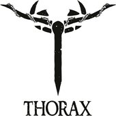 Thorax