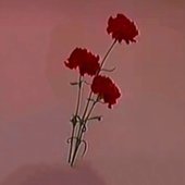 Screenshot_43.jpg