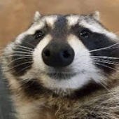 Avatar for Dyzgu