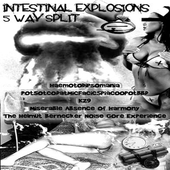 Intestinal Explosions 5 Way Split.png