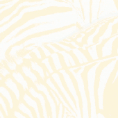 IMG_6657.gif