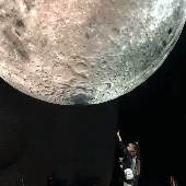 the_universe16 的头像