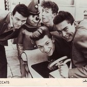 the polecats