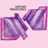 Exposed Prehistorics