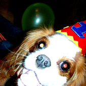 Avatar de RubyCakes