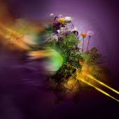 Specialized Dandylions - An Hybrid Ceed - cover.png